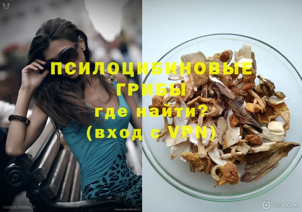 сатива Лихославль