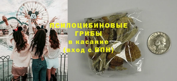 сатива Лихославль