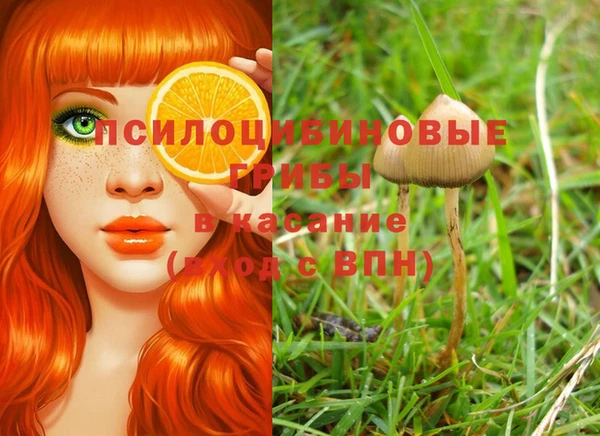 сатива Лихославль