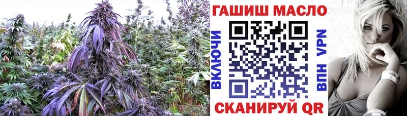 Дистиллят ТГК Wax  дарк нет состав  ссылка на мегу зеркало  Балабаново  купить  