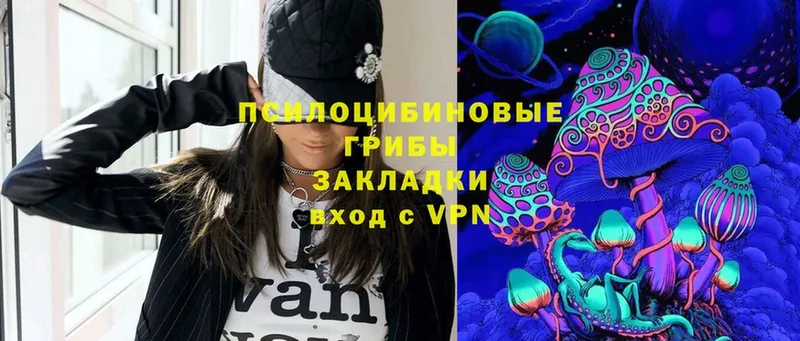 даркнет сайт  Балабаново  Псилоцибиновые грибы Cubensis 