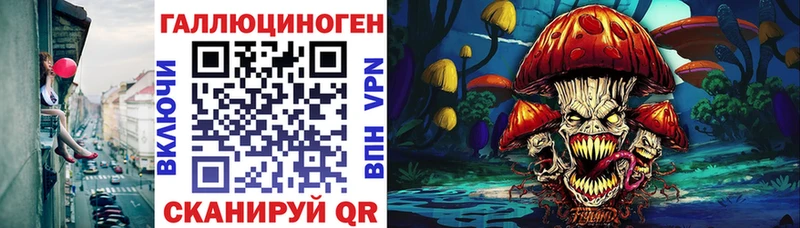 дарнет шоп Балабаново Псилоцибиновые грибы ЛСД