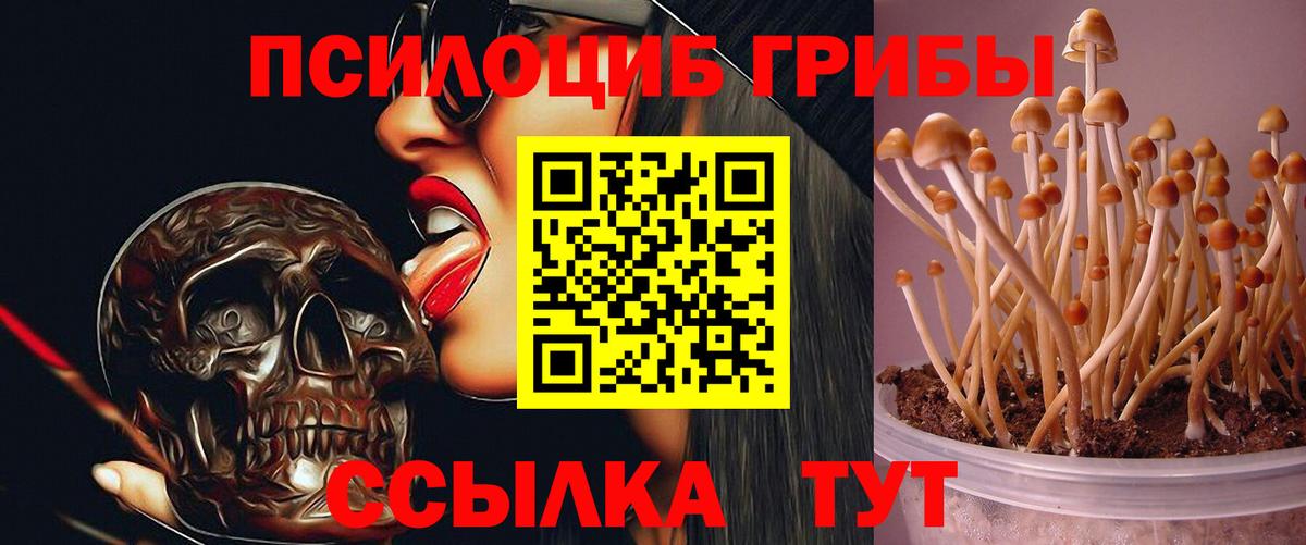 Галлюциногенные грибы мухоморы Балабаново