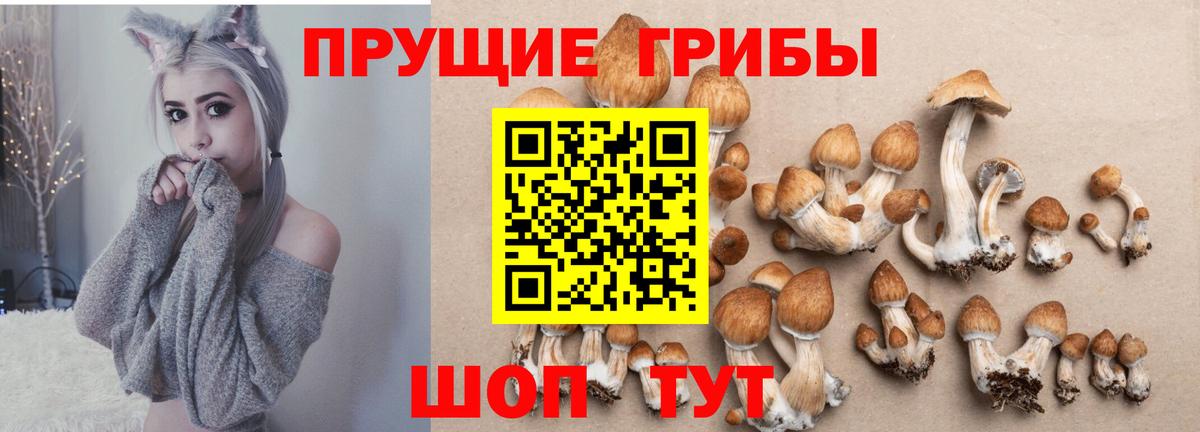 Балабаново  Псилоцибиновые грибы GOLDEN TEACHER  Галлюциногенные грибы MAGIC MUSHROOMS  Вход с VPN 