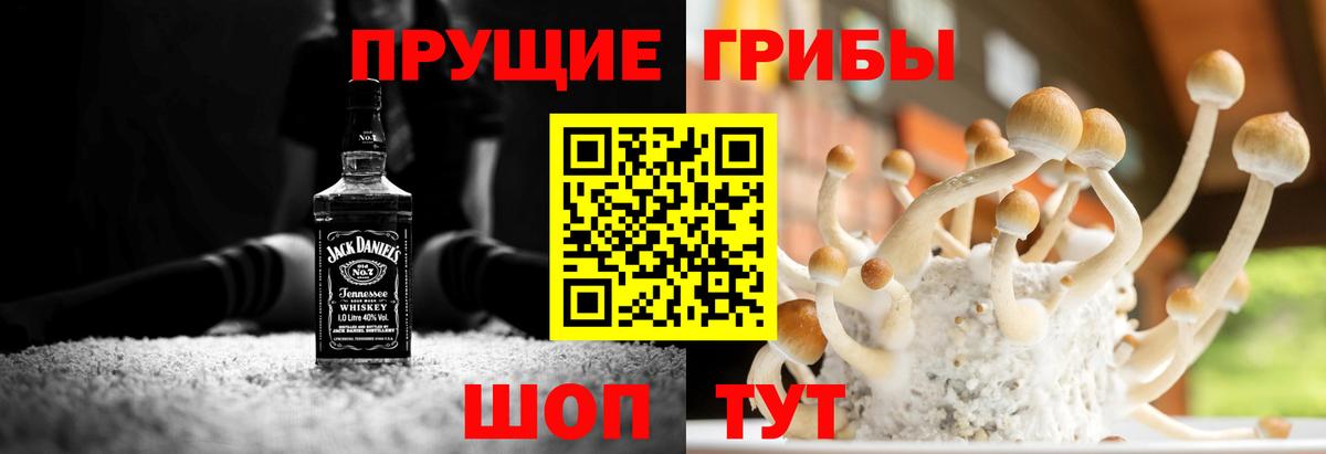 Псилоцибиновые грибы прущие грибы Балабаново